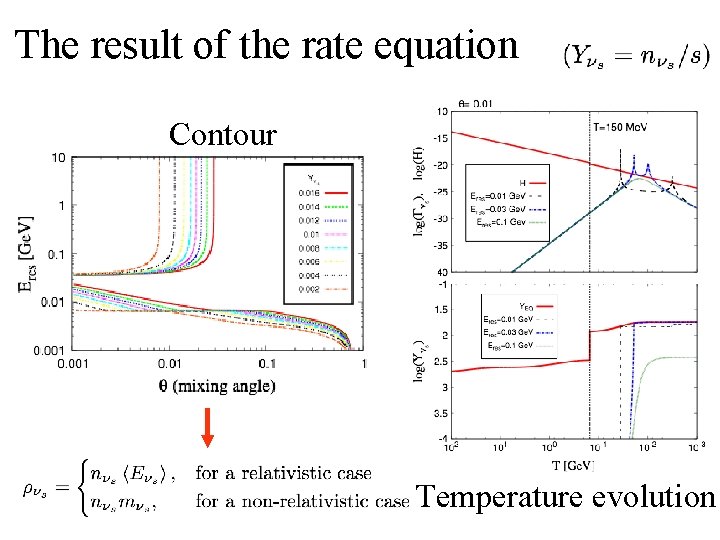 The result of the rate equation Contour Temperature evolution 