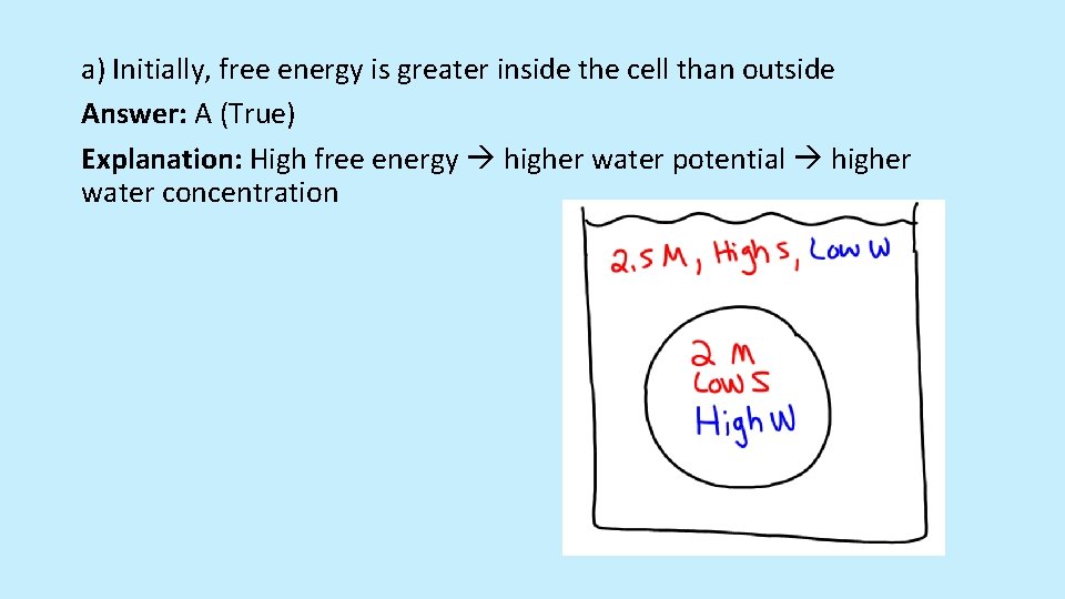 a) Initially, free energy is greater inside the cell than outside Answer: A (True)