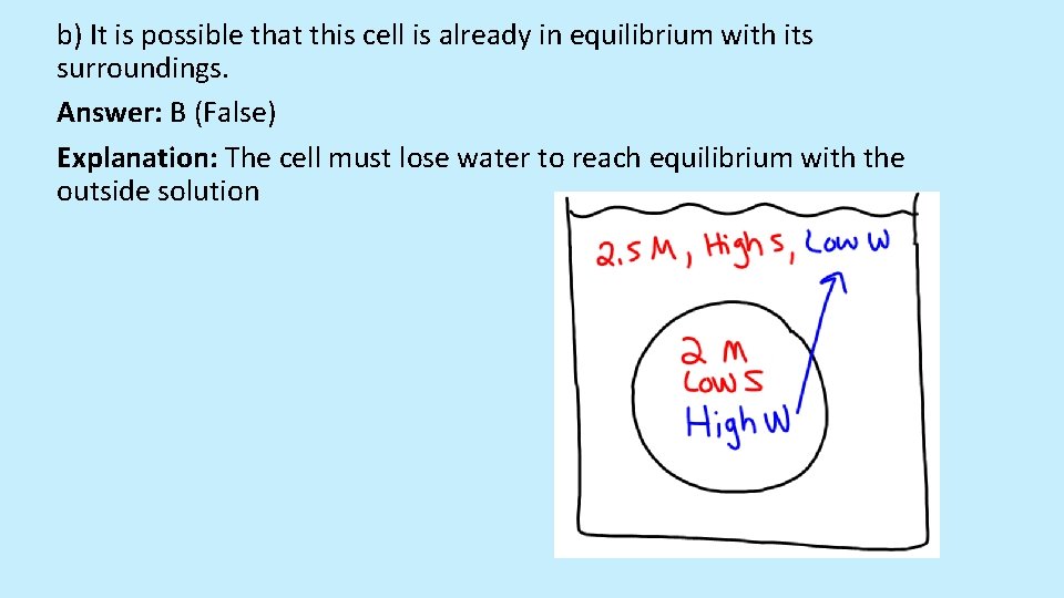 b) It is possible that this cell is already in equilibrium with its surroundings.