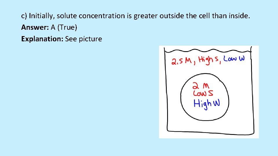 c) Initially, solute concentration is greater outside the cell than inside. Answer: A (True)