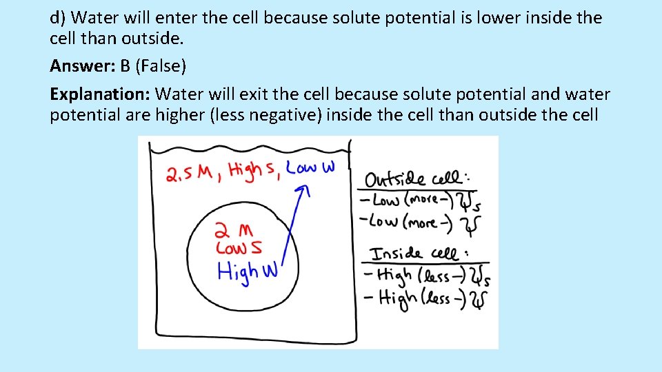 d) Water will enter the cell because solute potential is lower inside the cell