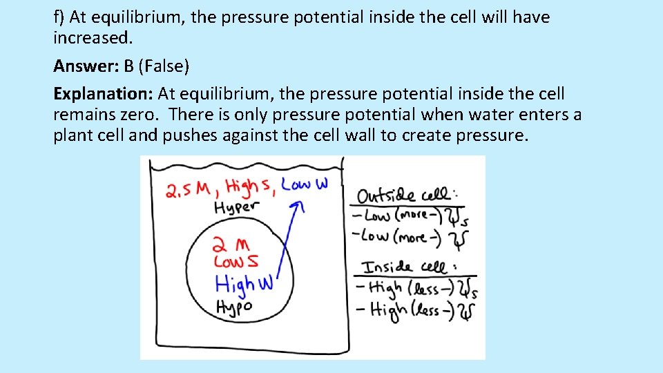 f) At equilibrium, the pressure potential inside the cell will have increased. Answer: B