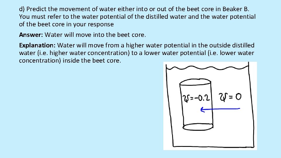 d) Predict the movement of water either into or out of the beet core