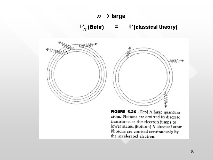 n large nn (Bohr) = n (classical theory) 81 