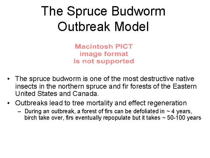 The Spruce Budworm Outbreak Model • The spruce budworm is one of the most