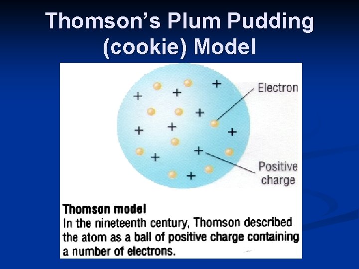 Thomson’s Plum Pudding (cookie) Model 