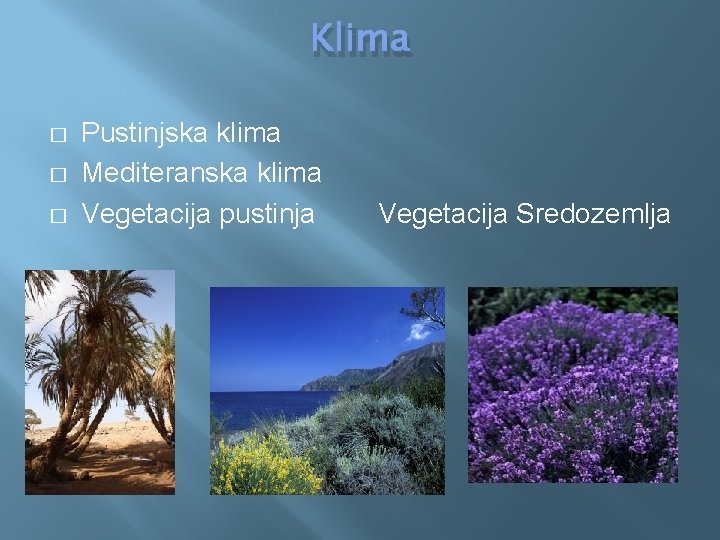 Klima � � � Pustinjska klima Mediteranska klima Vegetacija pustinja Vegetacija Sredozemlja 