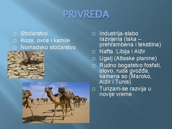 PRIVREDA � � Stočarstvo Koze, ovce i kamile Nomadsko stočarstvo � � � Industrija-slabo