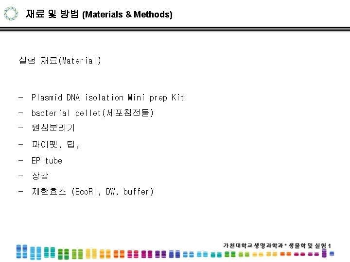 재료 및 방법 (Materials & Methods) 실험 재료(Material) - Plasmid DNA isolation Mini prep