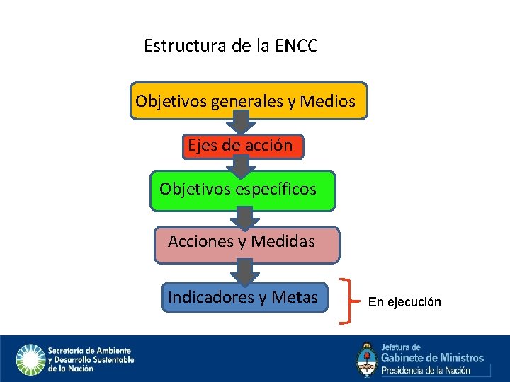 Estructura de la ENCC Objetivos generales y Medios Ejes de acción Objetivos específicos Acciones