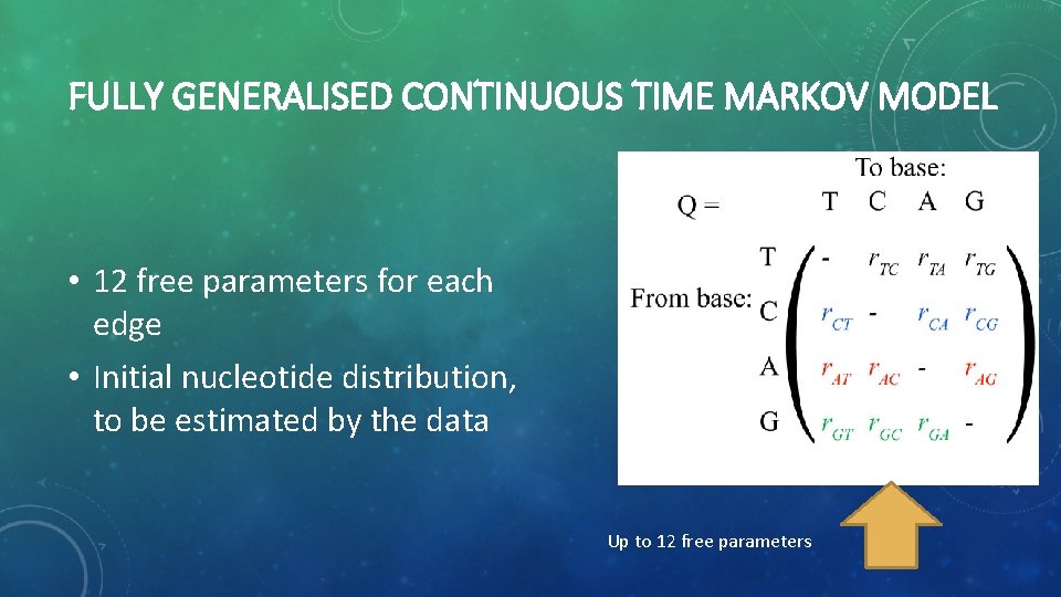 FULLY GENERALISED CONTINUOUS TIME MARKOV MODEL • 12 free parameters for each edge •