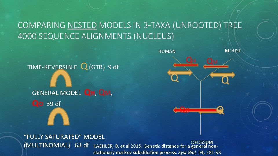 COMPARING NESTED MODELS IN 3 -TAXA (UNROOTED) TREE 4000 SEQUENCE ALIGNMENTS (NUCLEUS) HUMAN TIME-REVERSIBLE