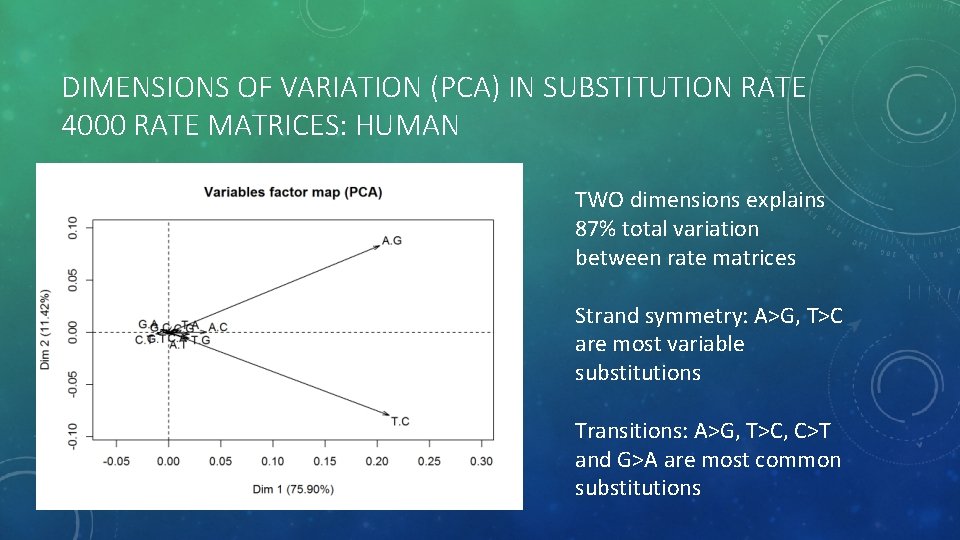 DIMENSIONS OF VARIATION (PCA) IN SUBSTITUTION RATE 4000 RATE MATRICES: HUMAN TWO dimensions explains