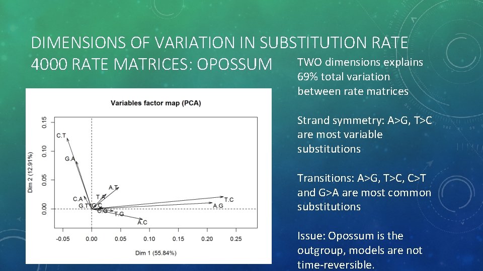 DIMENSIONS OF VARIATION IN SUBSTITUTION RATE 4000 RATE MATRICES: OPOSSUM TWO dimensions explains 69%