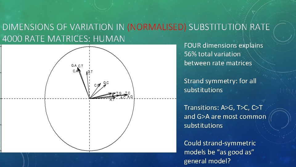 DIMENSIONS OF VARIATION IN (NORMALISED) SUBSTITUTION RATE 4000 RATE MATRICES: HUMAN FOUR dimensions explains