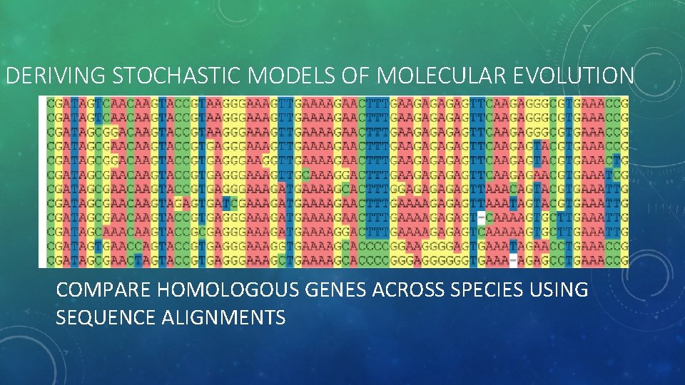 DERIVING STOCHASTIC MODELS OF MOLECULAR EVOLUTION COMPARE HOMOLOGOUS GENES ACROSS SPECIES USING SEQUENCE ALIGNMENTS