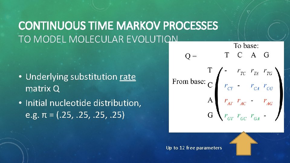 CONTINUOUS TIME MARKOV PROCESSES TO MODEL MOLECULAR EVOLUTION • Underlying substitution rate matrix Q