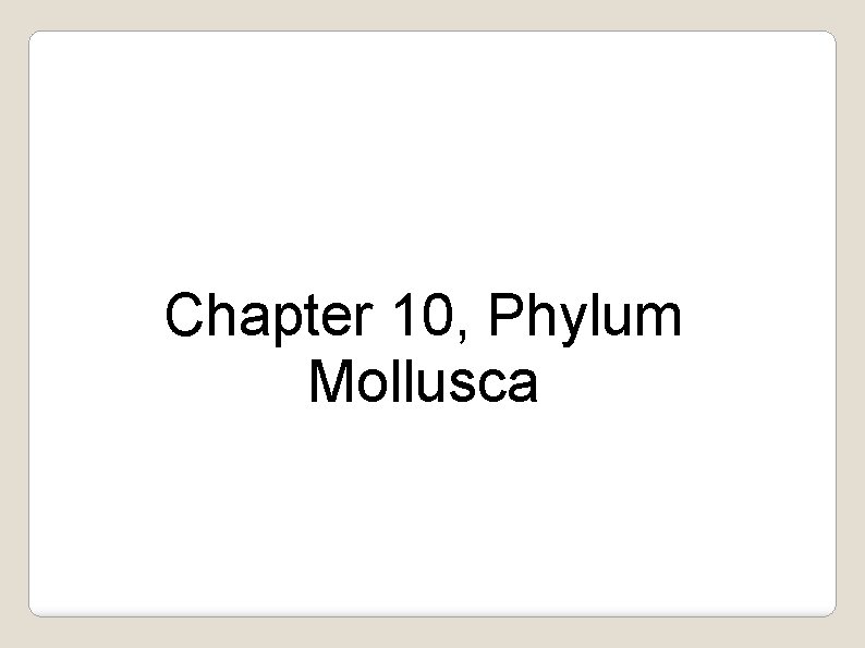 Chapter 10, Phylum Mollusca 
