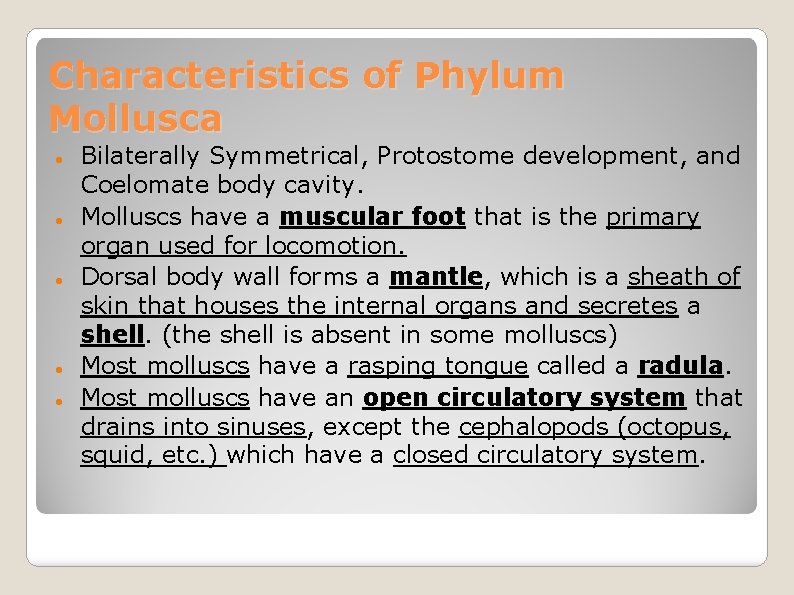 Characteristics of Phylum Mollusca Bilaterally Symmetrical, Protostome development, and Coelomate body cavity. Molluscs have
