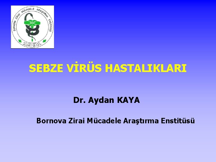 SEBZE VİRÜS HASTALIKLARI Dr. Aydan KAYA Bornova Zirai Mücadele Araştırma Enstitüsü 