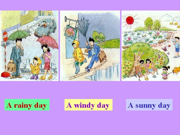 A rainy day A windy day A sunny day 