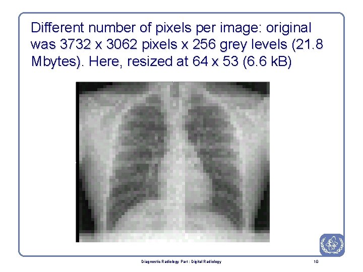 Different number of pixels per image: original was 3732 x 3062 pixels x 256