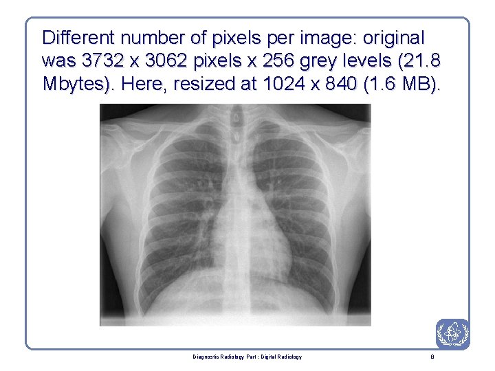 Different number of pixels per image: original was 3732 x 3062 pixels x 256