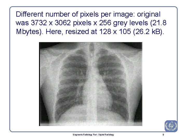 Different number of pixels per image: original was 3732 x 3062 pixels x 256