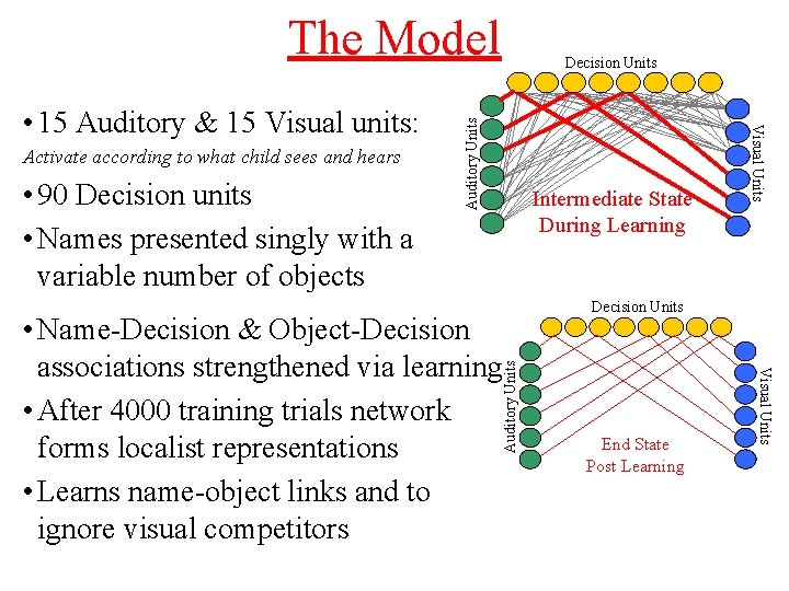 The Model • 90 Decision units • Names presented singly with a variable number The Model • 90 Decision units • Names presented singly with a variable number