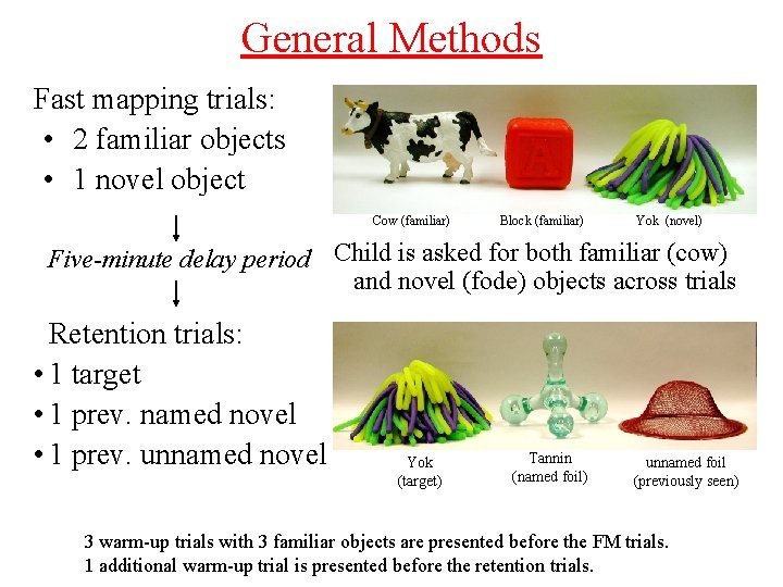 General Methods Fast mapping trials: • 2 familiar objects • 1 novel object Cow General Methods Fast mapping trials: • 2 familiar objects • 1 novel object Cow