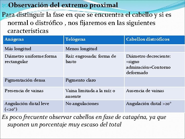  Observación del extremo proximal Para distinguir la fase en que se encuentra el