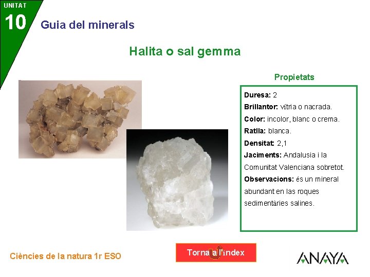 UNITAT 10 3 Guia del minerals Halita o sal gemma Propietats Duresa: 2 Brillantor: