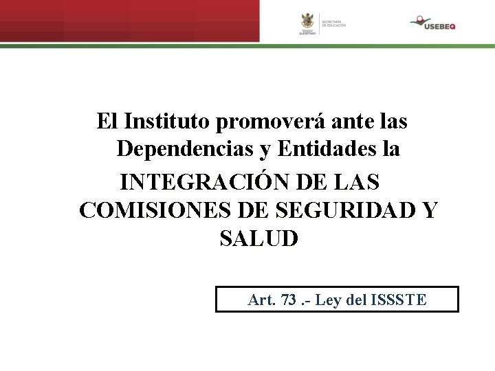  El Instituto promoverá ante las Dependencias y Entidades la INTEGRACIÓN DE LAS COMISIONES