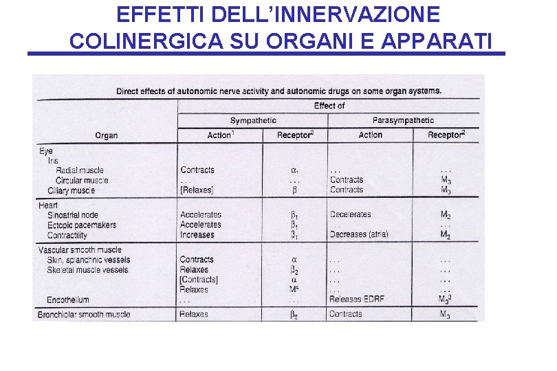 EFFETTI DELL’INNERVAZIONE COLINERGICA SU ORGANI E APPARATI 