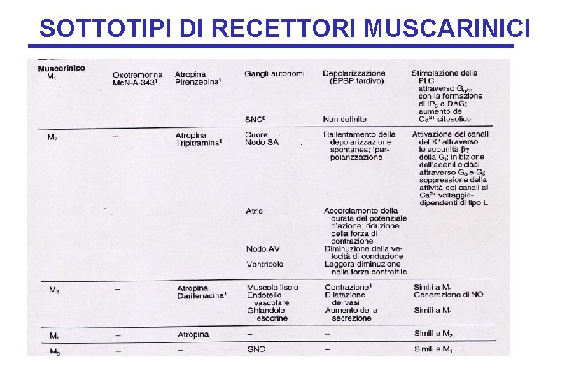 SOTTOTIPI DI RECETTORI MUSCARINICI SOTTOTIPI DI RECETTORI MUSCARINICI