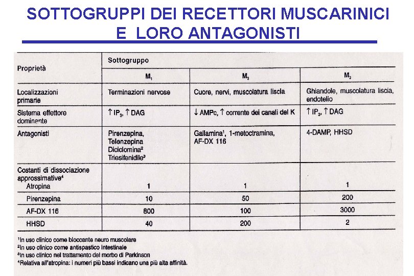 SOTTOGRUPPI DEI RECETTORI MUSCARINICI E LORO ANTAGONISTI SOTTOGRUPPI DEI RECETTORI MUSCARINICI E LORO ANTAGONISTI