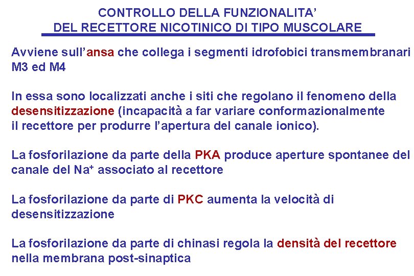 CONTROLLO DELLA FUNZIONALITA’ DEL RECETTORE NICOTINICO DI TIPO MUSCOLARE Avviene sull’ansa che collega i