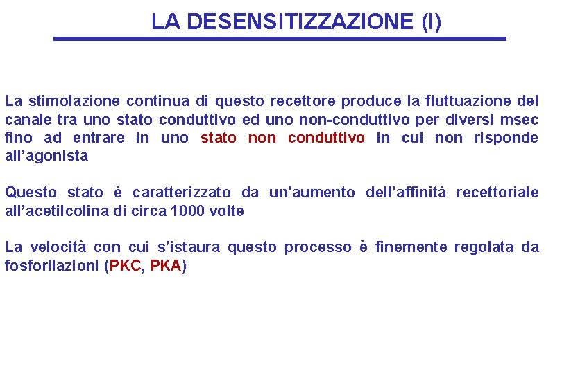 LA DESENSITIZZAZIONE (I) La stimolazione continua di questo recettore produce la fluttuazione del canale