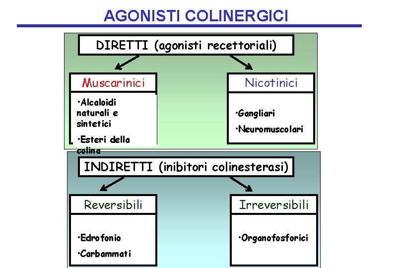 AGONISTI COLINERGICI DIRETTI (agonisti recettoriali) Muscarinici • Alcaloidi naturali e sintetici • Esteri della