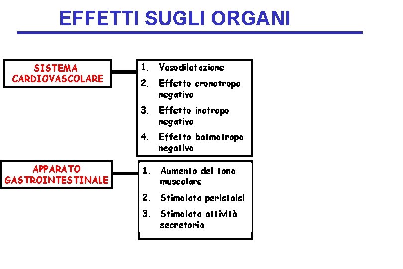 EFFETTI SUGLI ORGANI SISTEMA CARDIOVASCOLARE 1. Vasodilatazione 2. Effetto cronotropo negativo 3. Effetto inotropo