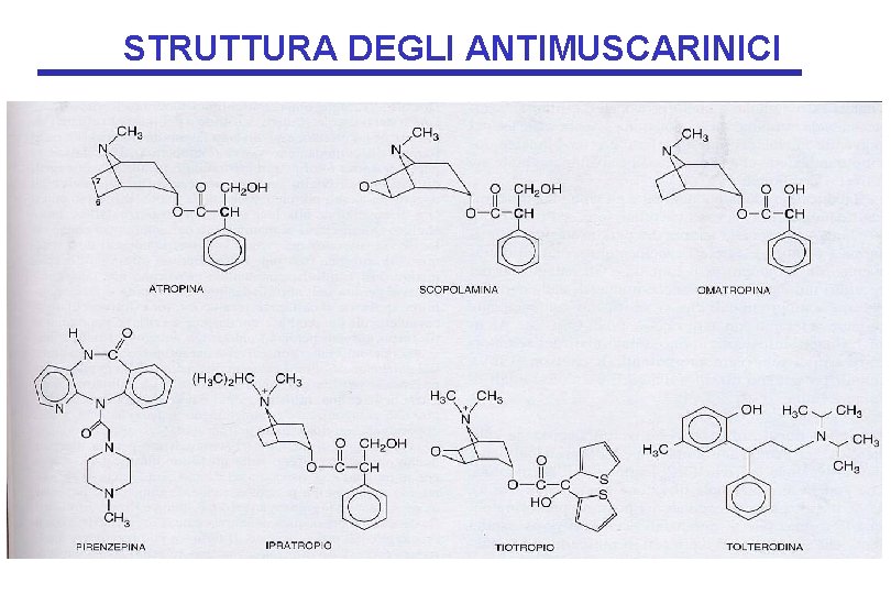 STRUTTURA DEGLI ANTIMUSCARINICI 