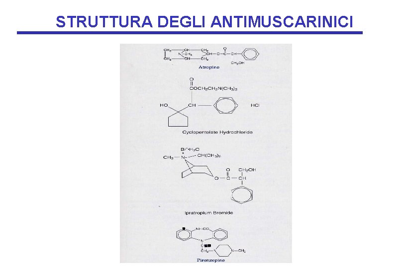 STRUTTURA DEGLI ANTIMUSCARINICI 