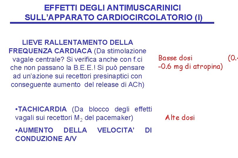 EFFETTI DEGLI ANTIMUSCARINICI SULL’APPARATO CARDIOCIRCOLATORIO (I) LIEVE RALLENTAMENTO DELLA FREQUENZA CARDIACA (Da stimolazione vagale