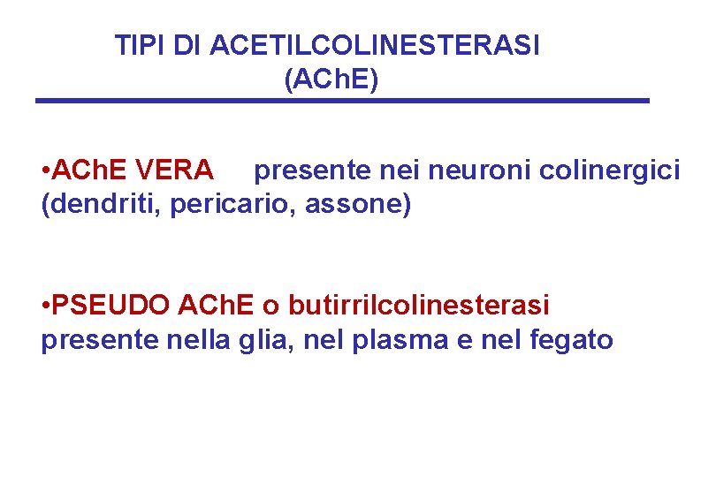 TIPI DI ACETILCOLINESTERASI (ACh. E) • ACh. E VERA presente nei neuroni colinergici (dendriti,