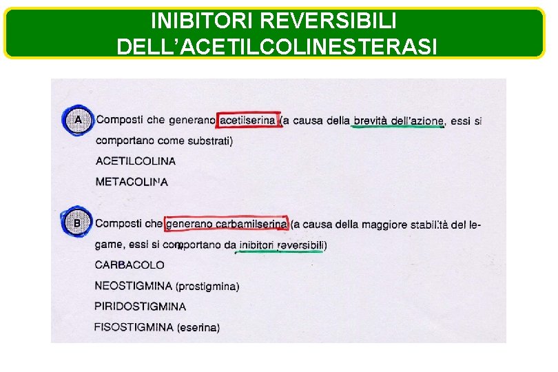 INIBITORI REVERSIBILI DELL’ACETILCOLINESTERASI INIBITORI REVERSIBILI DELL’ACETILCOLINESTERASI