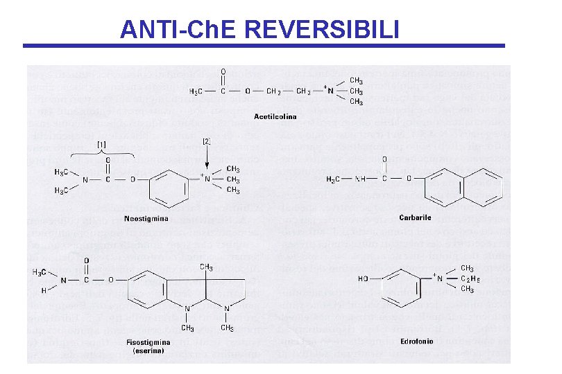 ANTI-Ch. E REVERSIBILI 