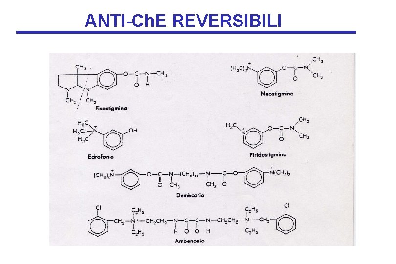 ANTI-Ch. E REVERSIBILI 