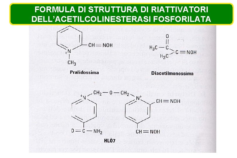 FORMULA DI STRUTTURA DI RIATTIVATORI DELL’ACETILCOLINESTERASI FOSFORILATA 