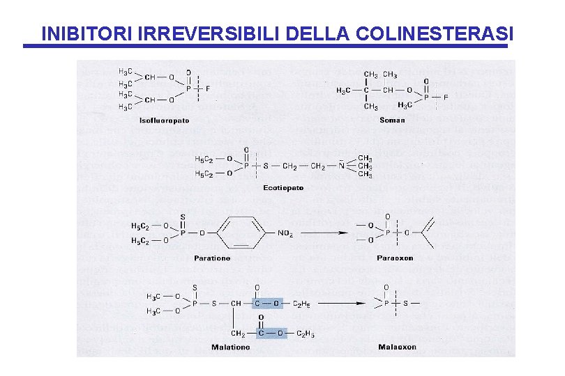 INIBITORI IRREVERSIBILI DELLA COLINESTERASI 