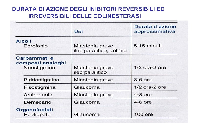 DURATA DI AZIONE DEGLI INIBITORI REVERSIBILI ED IRREVERSIBILI DELLE COLINESTERASI 